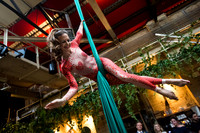 06 Aerialist